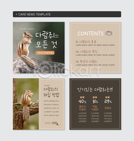사람없음 PSD 웹템플릿 템플릿 나뭇가지 다람쥐 도토리 동물 두마리 바위 수집 인기 종류 청설모 카드뉴스 특징 하늘다람쥐
