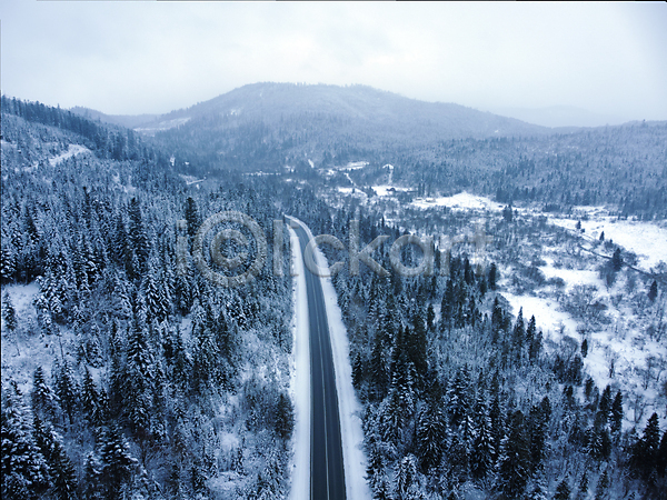사람없음 JPG 포토 하이앵글 해외이미지 가로수 겨울 나무 눈(날씨) 도로 산 야외 자연 풍경(경치)