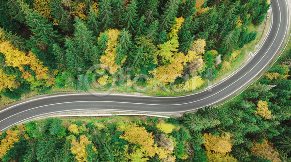 사람없음 JPG 포토 항공촬영 해외이미지 고속도로 교통시설 나무 도로 루트 모션 백그라운드 숲 여행 유럽 잎