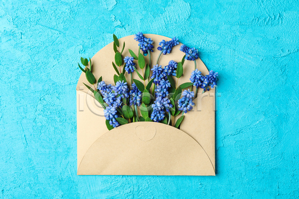 사람없음 JPG 포토 해외이미지 꽃 꽃다발 목업 백그라운드 봄 파란배경 히아신스