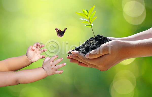 신체부위 JPG 포토 해외이미지 나비 새싹 생명 손 손모으기 에코 자연 잔디 주기 흙