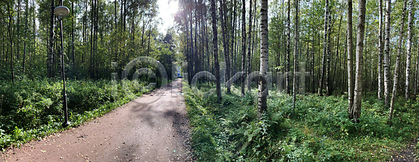 휴식 사람 사람없음 JPG 포토 해외이미지 가로등 걷기 고립 공원 그룹 길 나무 디톡스 목재 방목 백그라운드 삼림지대 서기 숲 승차 식물 야외 울타리 자국 자연 지역 질감 추상 큼 파노라마 하늘 해외포토 화창