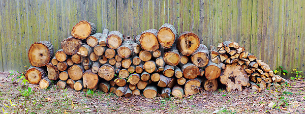 건조 뜨거움 사람없음 JPG 포토 해외이미지 갈색 거친 겨울 나무 나무껍질 날것 내추럴 다리찢기 마을 목재 묘사 백그라운드 벌목 벽 부분 불 소나무 수목 숲 시골 식물 쌓기 야외 에너지 연료 자르기 자연 자원 자작나무 잡동사니 장작 주식 질감 추상 통나무 패턴 해외포토 환경 흙더미