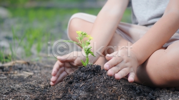 남자 소년 어린이 한명 JPG 아웃포커스 옆모습 포토 해외이미지 나무 라이프스타일 새싹 손 앉기 야외 잎 자연 정원 하반신 흙