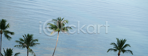 휴식 사람없음 JPG 포토 해외이미지 나무 내추럴 맑음 모래 물 바다 백그라운드 섬 손바닥 야외 야자수 여행 잎 자연 장면 초록색 코코넛 태국 파라다이스 파란색 하늘 해외포토 햇빛 휴가