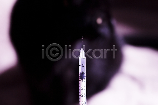 고통 사람 사람없음 성인 JPG 포토 해외이미지 건강 검사(조사) 고양이 당뇨병 돌봄 동물 반려동물 백신 병원 수의사 시험 약 응시 의사 인슐린 작음 주사기 주사약 질병 측정