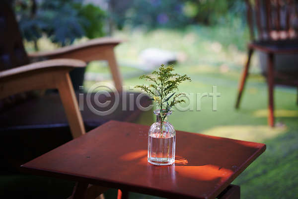 성장 사람없음 JPG 포토 해외이미지 나무 내부 냄비 리빙 방 식물 심기 유리 잎 자연 장식 초록색 카페 화분