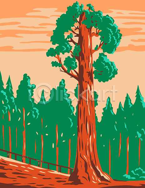 사람없음 JPG 포토 해외이미지 국립공원 그림 나무 카툰스타일 캘리포니아 풍경(경치)