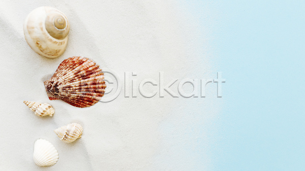 사람없음 JPG 포토 해외이미지 모래 백그라운드 소라 스튜디오촬영 여름(계절) 오브젝트 조개껍데기 카피스페이스
