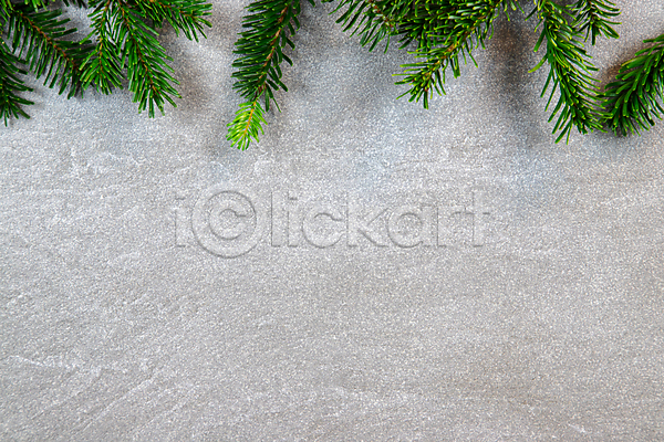 만족 사람없음 JPG 포토 해외이미지 겨울 나무 나뭇가지 대리석 백그라운드 벽지 식물 우주 자연 전나무 질감 초록색 추상 카피스페이스 크리스마스 크리스마스트리 텍스트 회색 흰색