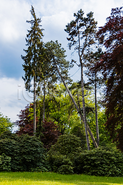사람없음 JPG 포토 해외이미지 계절 공원 구름(자연) 나무 내추럴 노란색 목재 브로츠와프 빛 숲 식물 야외 얇은 유럽 자연 초록색 컬러풀 태양 파란색 폴란드 풍경(경치) 하늘 화창 환경