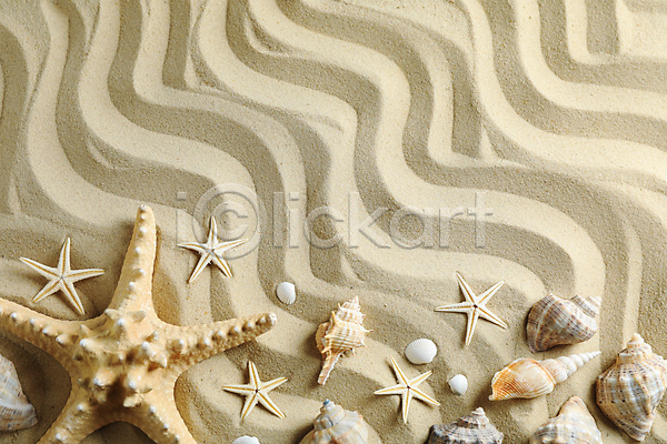 사람없음 JPG 포토 해외이미지 모래 물결무늬 불가사리 소라 스튜디오촬영 여름(계절) 오브젝트 조개껍데기 카피스페이스