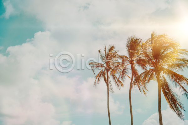사람없음 JPG 포토 해외이미지 구름(자연) 야외 야자수 여름(계절) 여름풍경 주간 하늘 햇빛