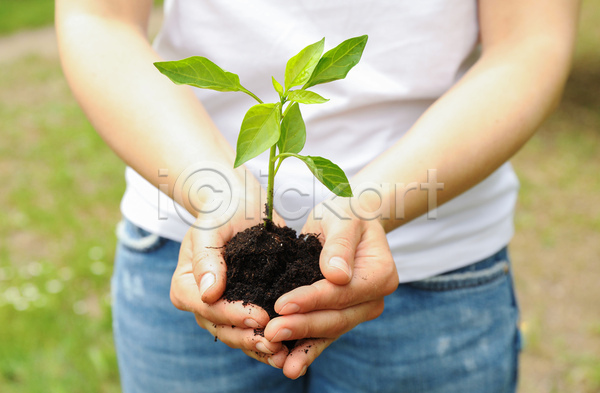 성인 성인여자한명만 여자 한명 JPG 앞모습 포토 해외이미지 들기 묘목 상반신 생태계 손 에코 잎 흙