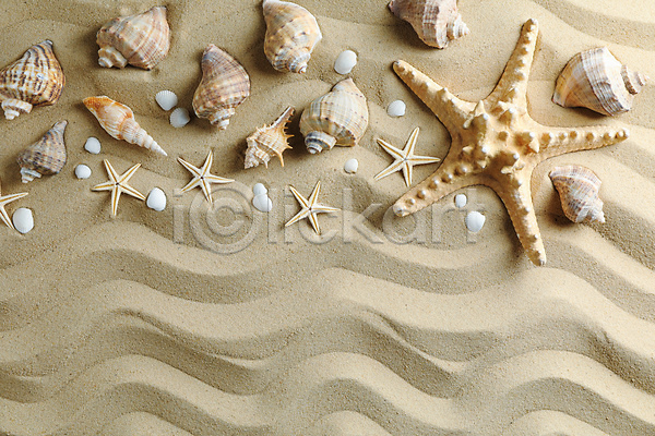 사람없음 JPG 포토 하이앵글 해외이미지 모래 물결무늬 불가사리 소라 스튜디오촬영 여름(계절) 오브젝트 조개껍데기 카피스페이스