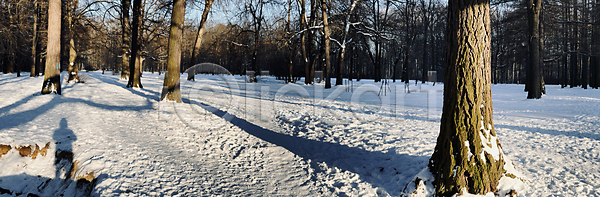 추위 사람없음 JPG 로우앵글 아웃포커스 포토 해외이미지 겨울 계절 공원 그림자 나무 날씨 내추럴 냉동 눈보라 도시 도시풍경 묘사 반사 발자국 백그라운드 뷰티 손상 숲 야외 얼음 일몰 자연 카피스페이스 폭풍 풍경 해외포토 햇빛 환경