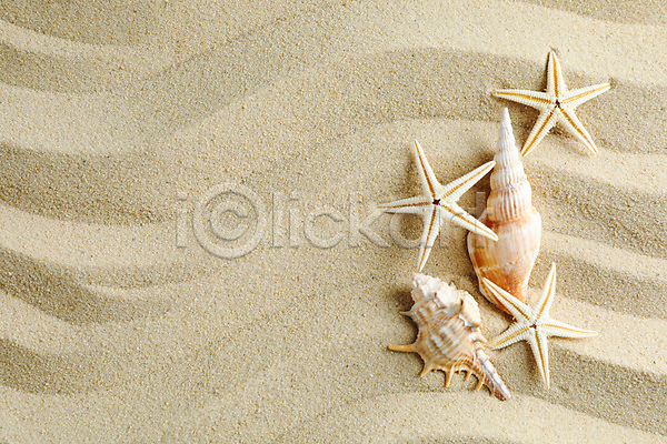 사람없음 JPG 포토 해외이미지 모래 물결무늬 스튜디오촬영 여름(계절) 오브젝트 카피스페이스