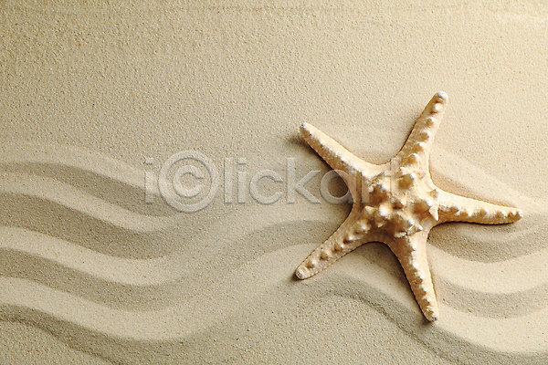 사람없음 JPG 포토 해외이미지 모래 물결무늬 불가사리 스튜디오촬영 여름(계절) 오브젝트 카피스페이스