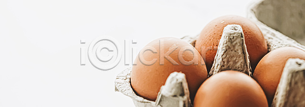 신선 사람없음 JPG 포토 해외이미지 갈색 계란 계란판 백그라운드 카피스페이스