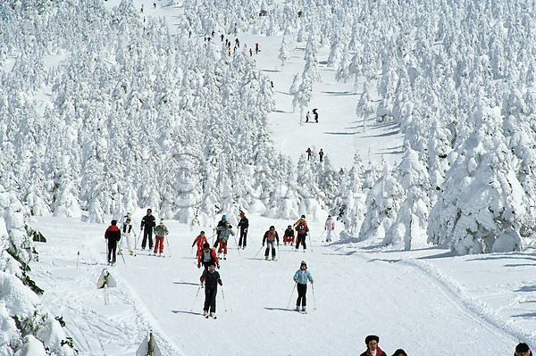 군중 사람 JPG 포토 겨울 겨울스포츠 계절 눈(날씨) 사계절 산 설경 스키 스키장 스포츠 야외 자연 주간 풍경(경치)