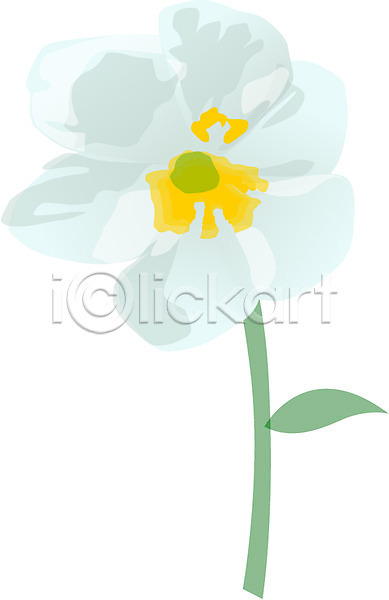 사람없음 EPS 일러스트 5월 꽃 봄꽃 식물 아네모네 자연 클립아트 탄생화 한송이 흰색