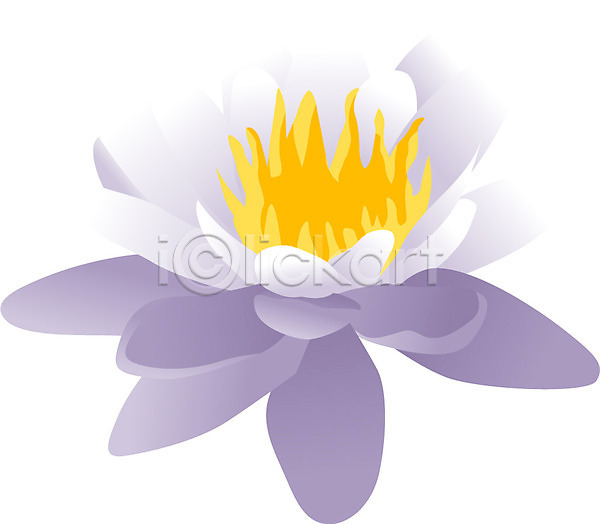 사람없음 EPS 일러스트 7월 꽃 식물 여름꽃 연꽃(꽃) 자연 클립아트 탄생화 한송이 흰색