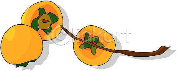 사람없음 EPS 아이콘 가을(계절) 감 감나무 계절 과일 농작물 사계절 식물 열매 음식 자연 클립아트