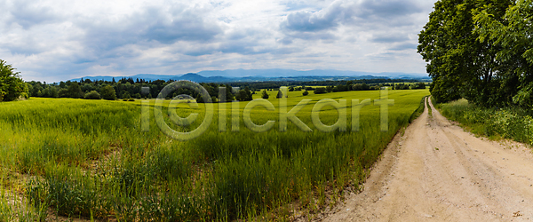 성장 신선 사람없음 JPG 포토 해외이미지 계절 구름 길 꽃 낟알 농업 농장 밀 밭 뷰티 산 시골 식물 야외 여름 유럽 자국 자연 초록색 파란색 폴란드 풍경 하늘 해외포토 환경