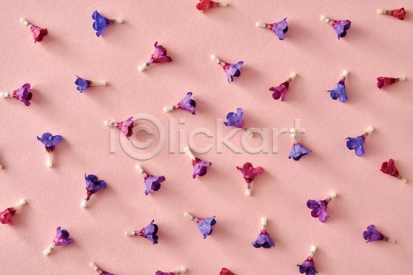 사람없음 JPG 포토 해외이미지 꽃 백그라운드 보라색 분홍색 패턴 패턴백그라운드