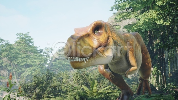사람없음 3D JPG 해외이미지 고생물 나무 숲 야생동물 야외 육식공룡 주간 쥬라기 티라노사우루스 풀(식물) 한마리
