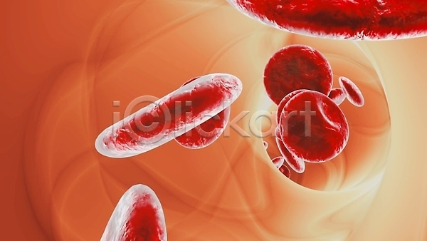 사람없음 3D JPG 포토 해외이미지 세포 적혈구 혈관 혈구
