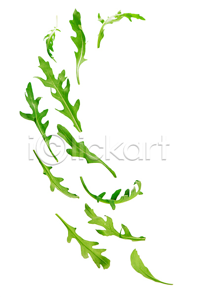 사람없음 JPG 포토 해외이미지 아루굴라 잎 채소 초록색