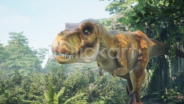 사람없음 3D JPG 해외이미지 고생물 숲 야생동물 야외 육식공룡 주간 쥬라기 티라노사우루스 풀(식물) 한마리