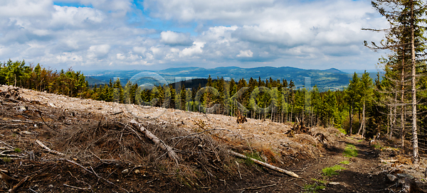 사람없음 JPG 포토 해외이미지 계곡 공원 공터 길 나무 내추럴 밭 산 숲 시골 야외 언덕 여행 오솔길 유럽 자연 초록색 큼 파노라마 파란색 폴란드 하늘 해외포토 환경