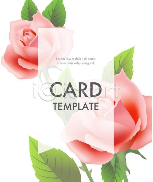 사람없음 EPS 일러스트 카드템플릿 해외이미지 꽃무늬 분홍색 잎 장미 카드(감사) 타이포그라피 프레임