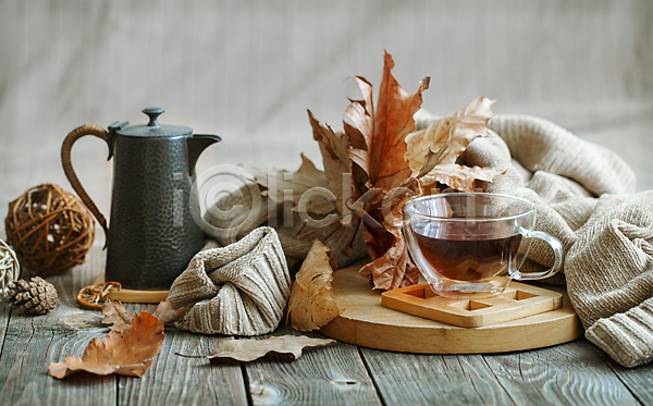 사람없음 JPG 포토 해외이미지 가을(계절) 낙엽 니트 단풍 실내 오브젝트 잔 차(음료) 찻주전자