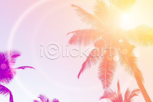 사람없음 JPG 포토 해외이미지 그라데이션 보라색 야외 야자수 여름(계절) 여름풍경 주간 주황색 하늘 햇빛