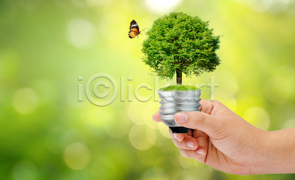 신체부위 JPG 포토 해외이미지 나무 나비 들기 생명 손 에코 자연 잔디 전구