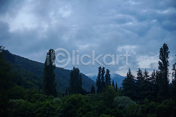 사람없음 JPG 포토 해외이미지 구름(자연) 나무 산 숲 안개 야외 여름(계절) 자연 저녁 초록색 풍경(경치) 하늘 흐림
