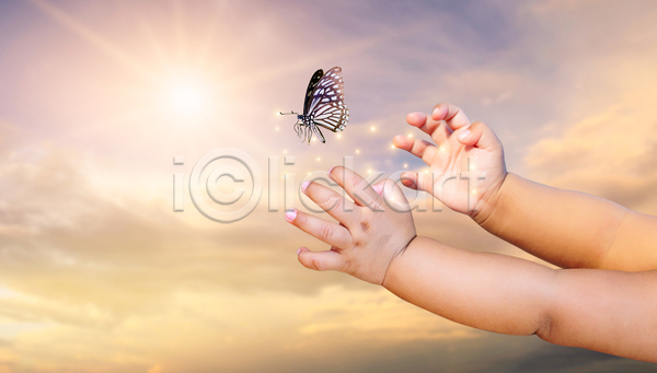 자유 신체부위 JPG 포토 해외이미지 나비 반짝임 손 손내밀기 태양 하늘
