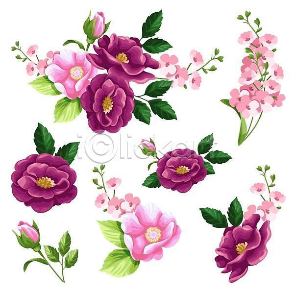 사람없음 EPS 일러스트 해외이미지 꽃봉오리 봄 봄꽃 분홍색 수채화(물감) 잎 자주색