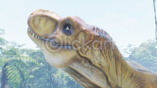 사람없음 3D JPG 근접촬영 해외이미지 고생물 숲 야생동물 야외 육식공룡 응시 주간 쥬라기 티라노사우루스 한마리