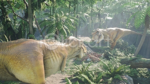 사람없음 3D JPG 해외이미지 고생물 길가 나무 두마리 마주보기 숲 야생동물 야외 육식공룡 주간 쥬라기 티라노사우루스 풀(식물) 햇빛