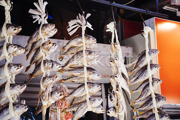 사람없음 JPG 포토 굴비 남대문시장 묶기 시장 야외 어류 여러마리 전통시장 주간 한국