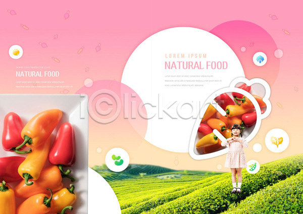 사람 소녀한명만 어린이 여자 한국인 한명 PSD 템플릿 건강 리플렛 밭 북디자인 북커버 분홍색 서기 손하트 원형 유기농 음식 전신 출판디자인 파프리카 팜플렛 표지 표지디자인