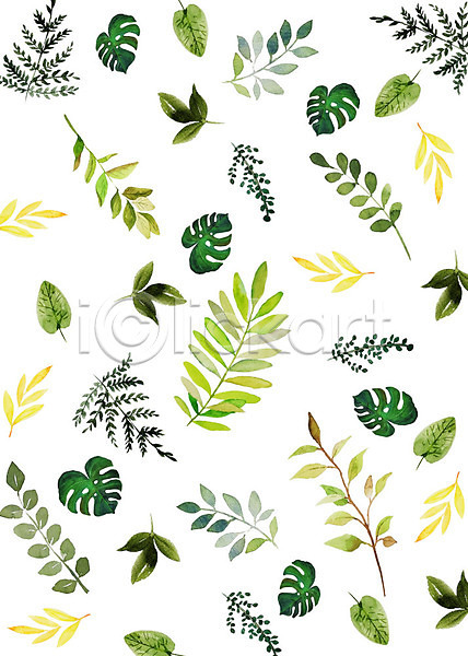감성 따뜻함 화려 사람없음 PSD 일러스트 꽃 몬스테라 붓터치 수채화(물감) 식물 잎 초록색 컬러풀 트로피컬아트 패턴 플라워패턴