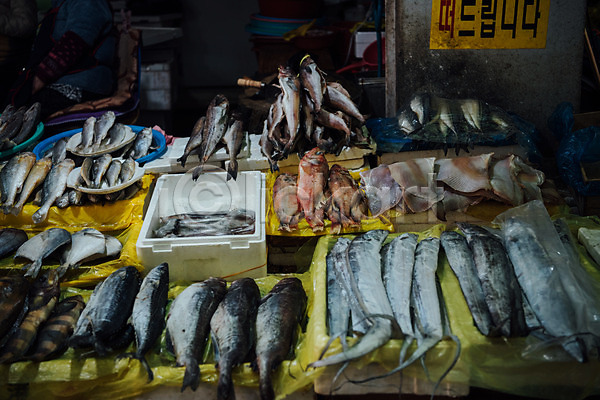 사람없음 JPG 포토 못골시장 생선가게 수산시장 수원시장 시장 야외 어류 여러마리 재래시장 전통시장 주간 한국
