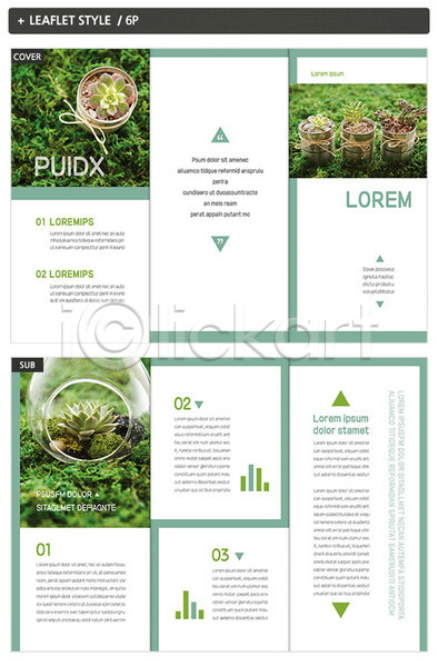 깨끗함 사람없음 INDD ZIP 인디자인 템플릿 3단접지 그래프 내지 다육식물 리플렛 식물 잔디 초록색 컬러풀 팜플렛 표지 표지디자인 화분