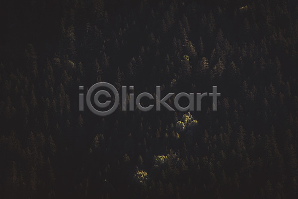 사람없음 JPG 포토 나무 산 소나무 숲 알프스 야간 야외 어둠 여름(계절) 여름풍경 유럽풍경 자연 풍경(경치) 프랑스 해외풍경