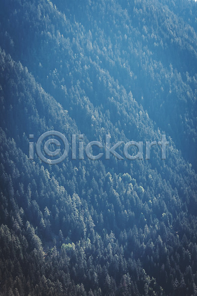 사람없음 JPG 포토 나무 산 소나무 숲 알프스 야외 유럽풍경 자연 주간 풍경(경치) 해외풍경